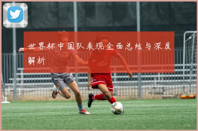 世界杯中国队表现全面总结与深度解析